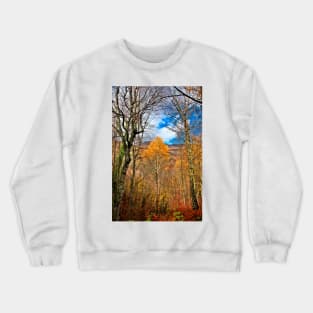 Last survivor on the road to winter Crewneck Sweatshirt